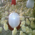 Chicken Feeder And Drinker For Sale (Direct Cheap Sale )